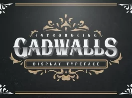 Gadwalls Display Font