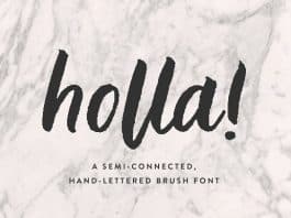 Holla Script Brush Font