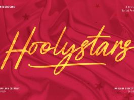 Hoolystars Script Font