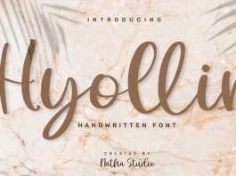 Hyollin Font