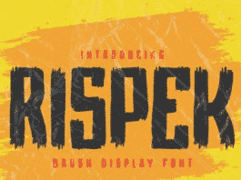 RISPEK - Brush Display Font