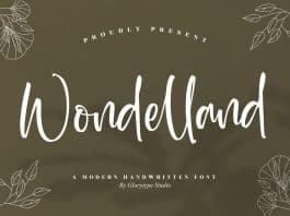 Wondelland Script Font