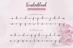 Wonderblend Calligraphy Font