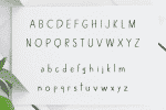 Alexiss Font