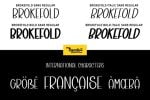 Brokefold Sans Font