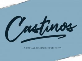 Castinos Script
