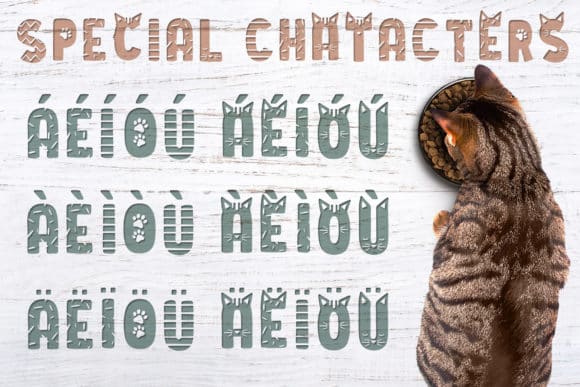 Cat Lady Font Fontforlife