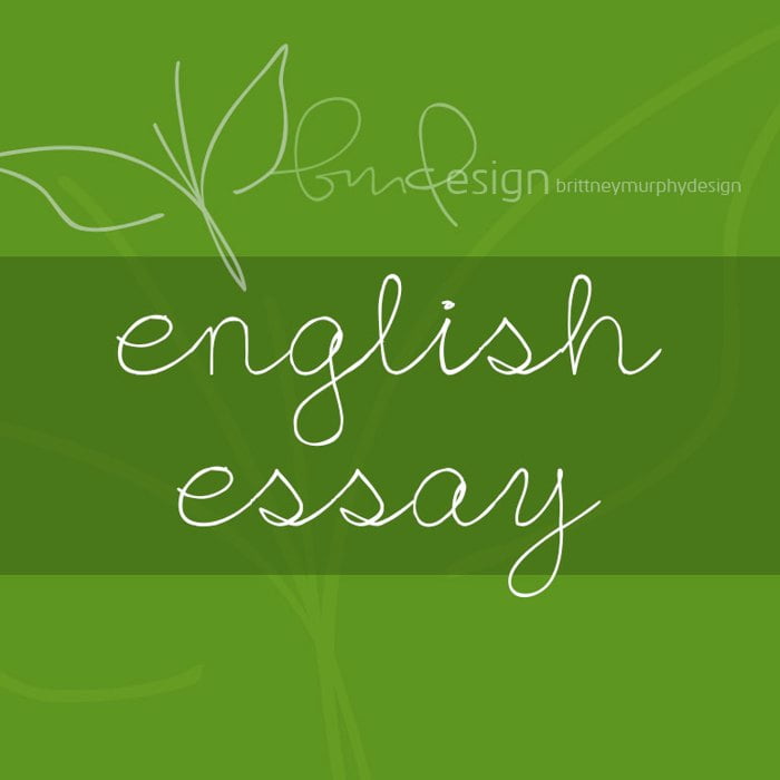 extended essay font