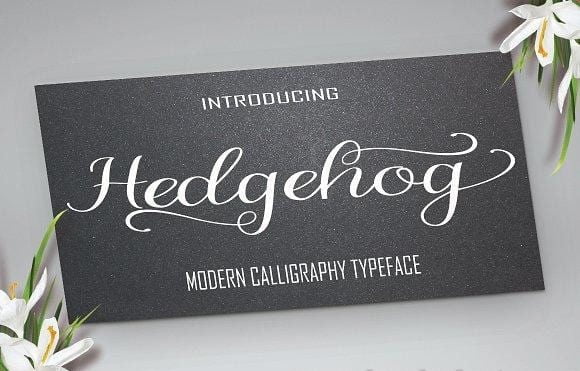 Hedgehog Font