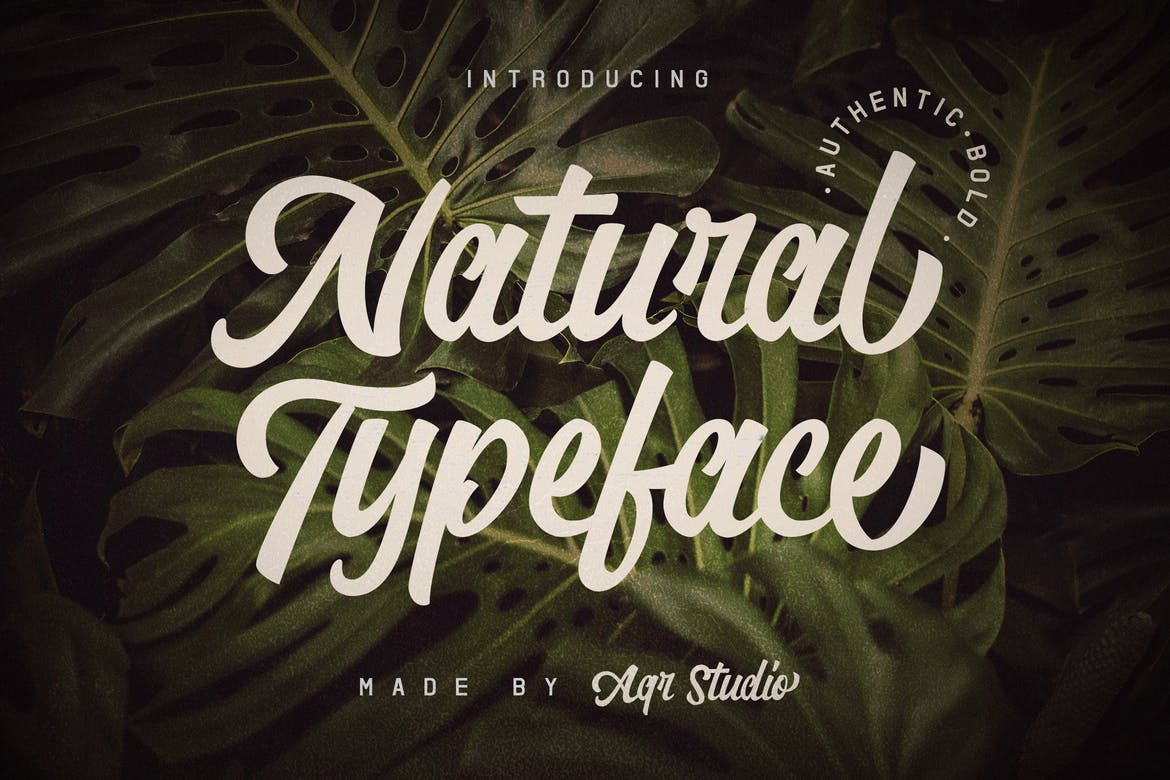 natural history typeface project