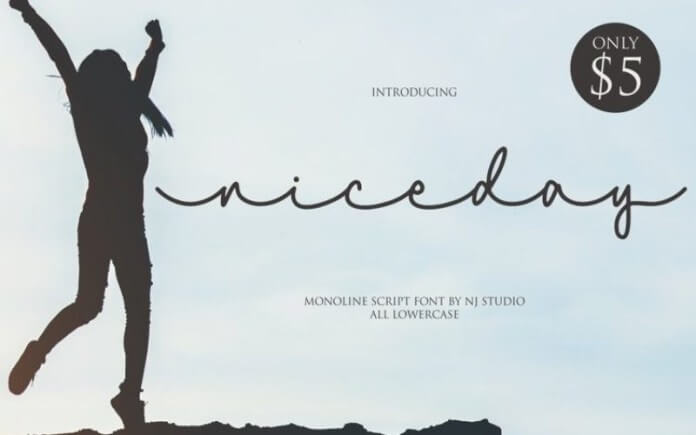 Niceday Font