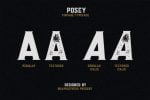 Posey Font