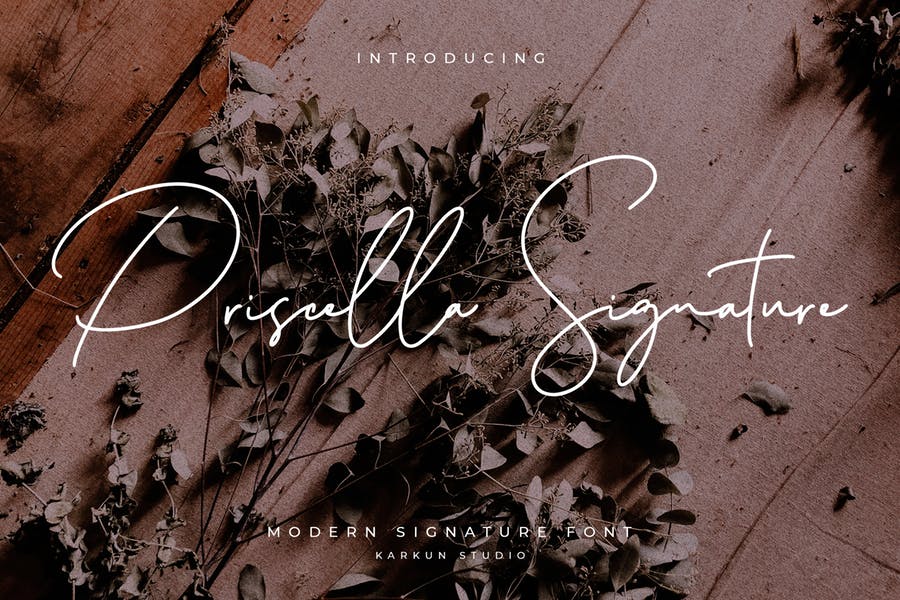 Priscilla Signature Font - fontforlife.com