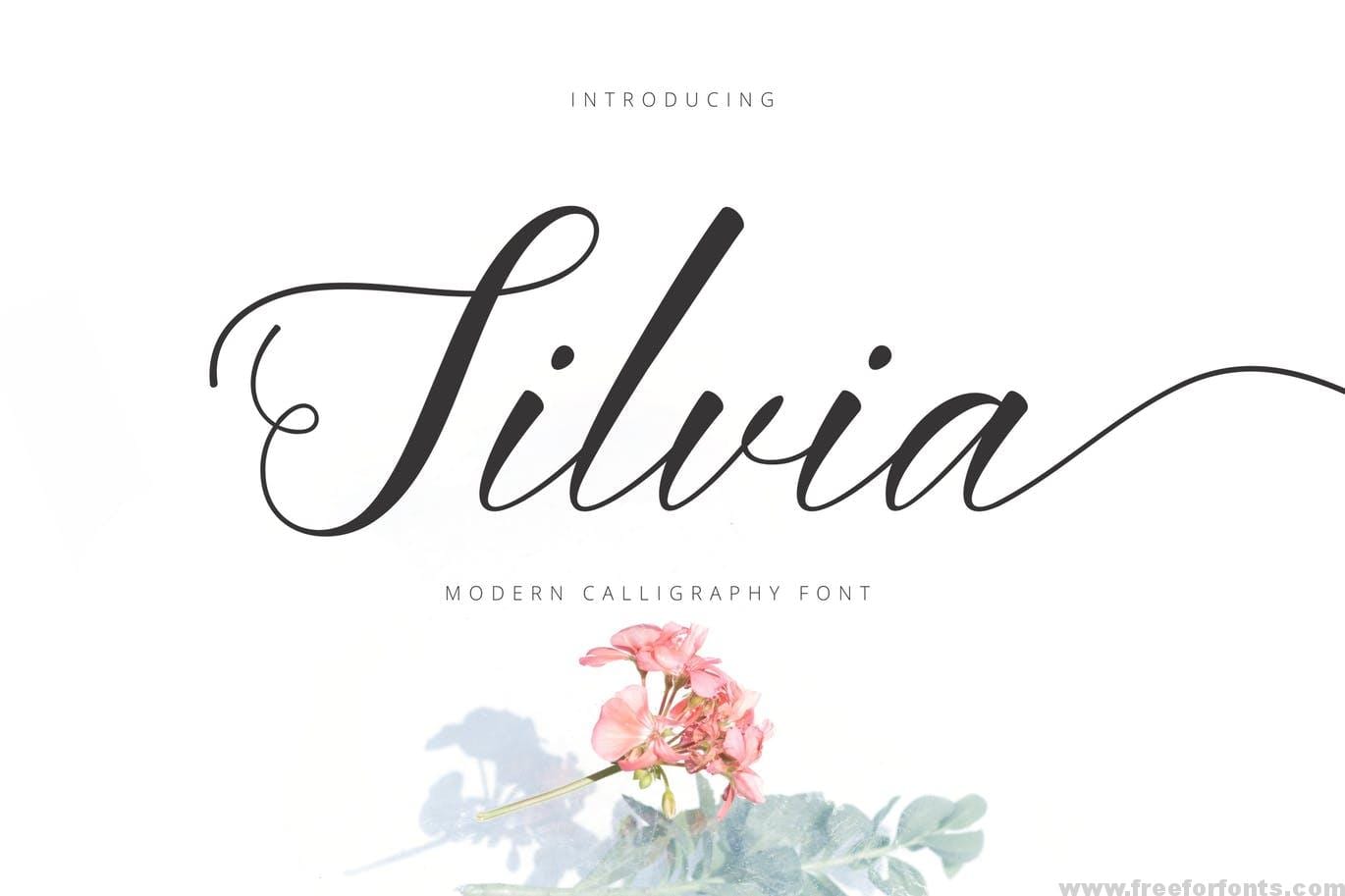 Silvia Script Font Free Download Free Download