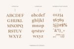 Solomon Family Font